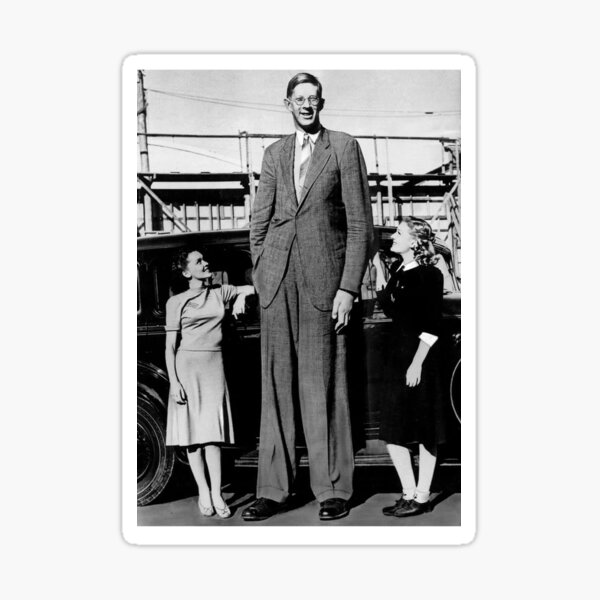Item preview, Robert Wadlow the World's Tallest Man designed and sold by IanBakerToons.