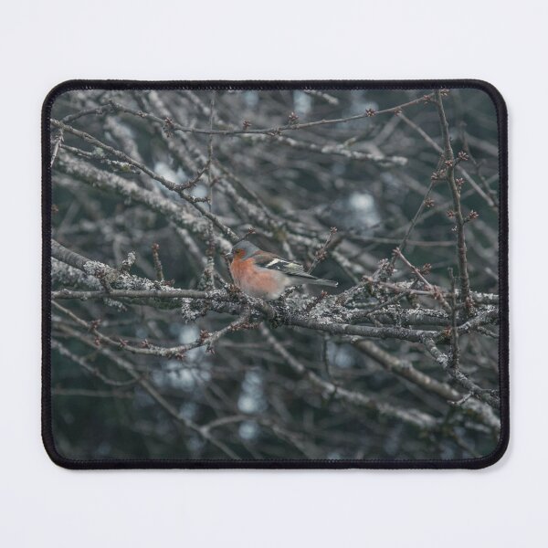 Item preview, Winter Chaffinch designed and sold by Artstridcore.