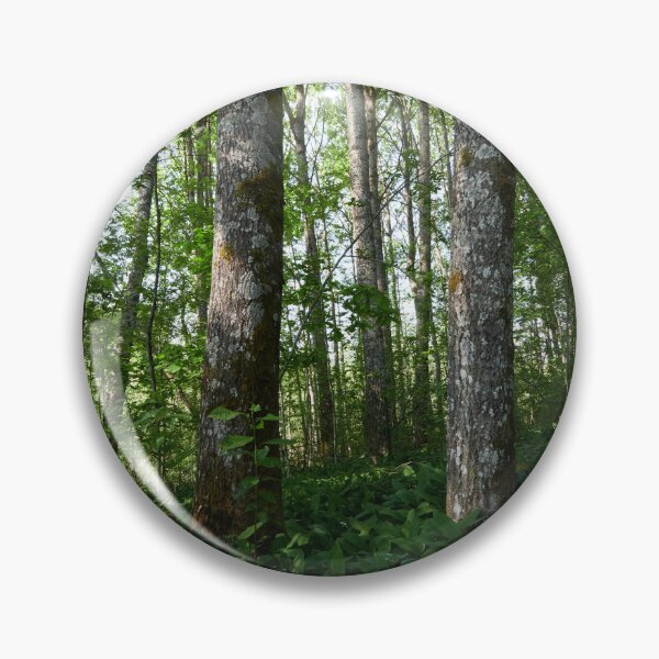 Item preview, High Aspens of the Valley designed and sold by Jouko Lehto Photography.