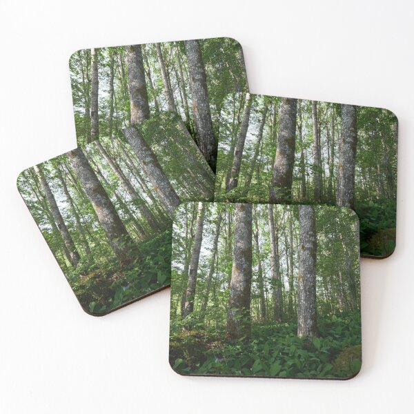 Item preview, High Aspens of the Valley designed and sold by Jouko Lehto Photography.