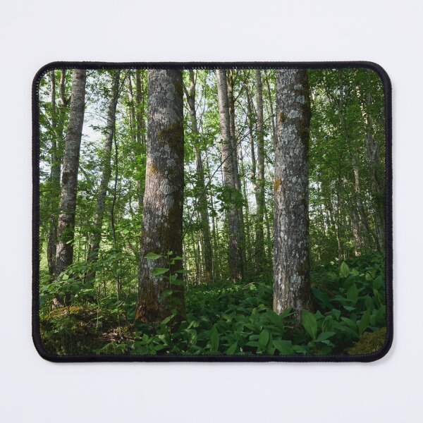 Item preview, High Aspens of the Valley designed and sold by Jouko Lehto Photography.