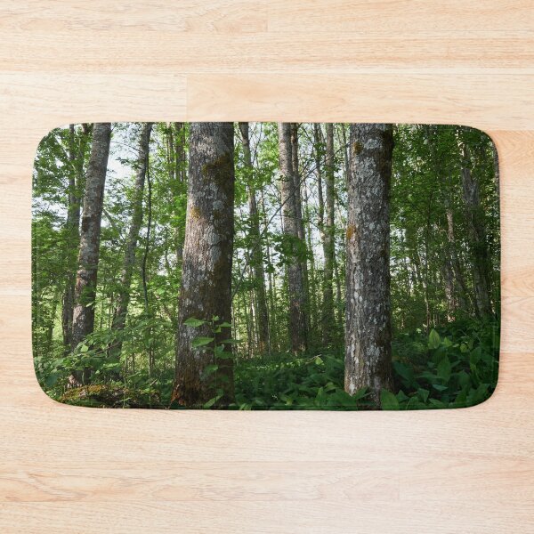 Item preview, High Aspens of the Valley designed and sold by Jouko Lehto Photography.