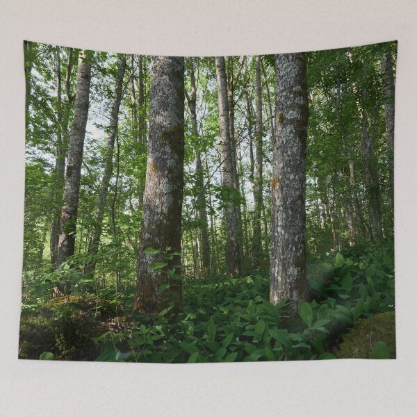 Item preview, High Aspens of the Valley designed and sold by Jouko Lehto Photography.