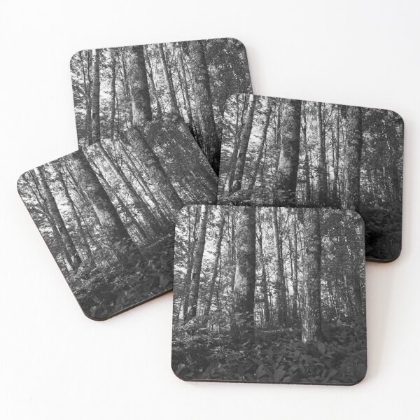 Item preview, High Aspens of the Valley bw designed and sold by Jouko Lehto Photography.