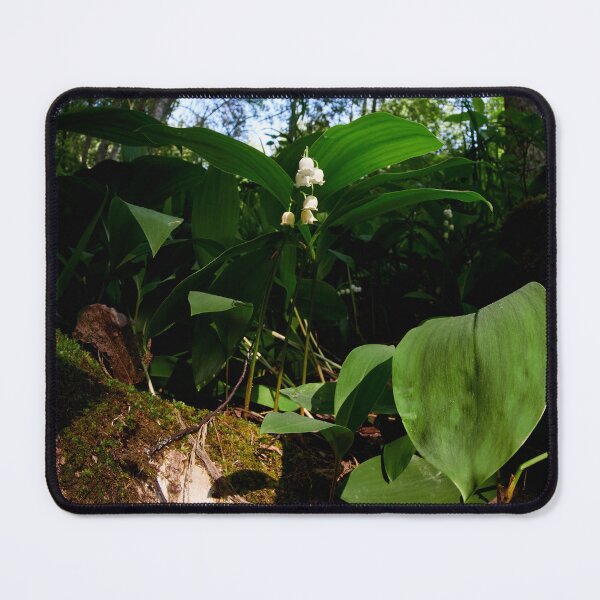 Item preview, Apollinaris valley.  Lily of the valley designed and sold by Jouko Lehto Photography.