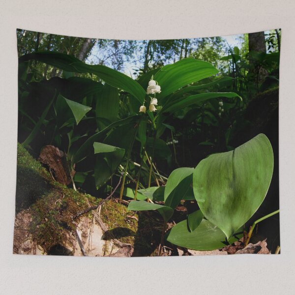 Item preview, Apollinaris valley.  Lily of the valley designed and sold by Jouko Lehto Photography.
