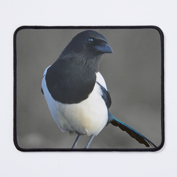 Item preview, Magpie designed and sold by Tom McPherson Photography.