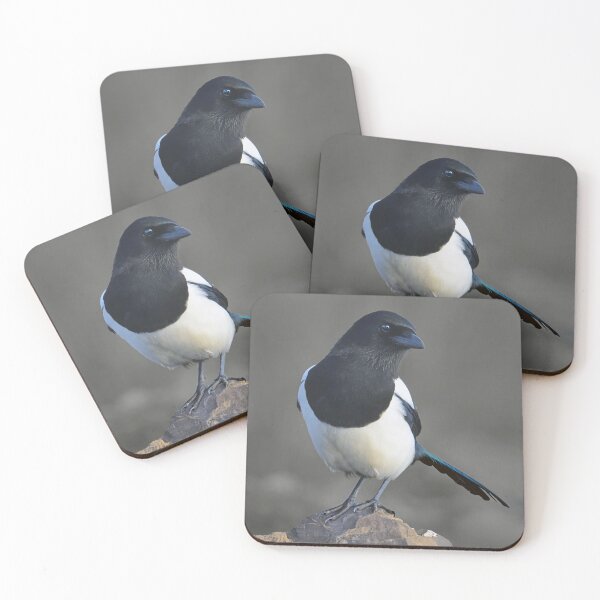 Item preview, Magpie designed and sold by Tom McPherson Photography.
