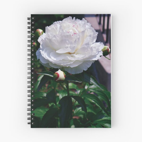 Item preview, Lady in White Satin designed and sold by Angela Fazio.