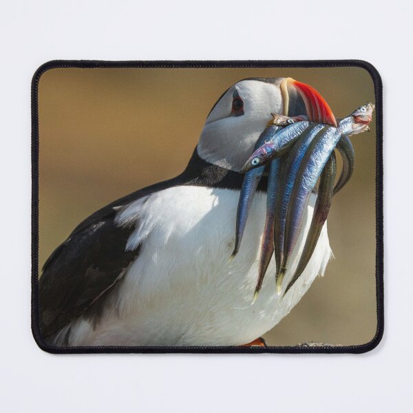 Item preview, A Puffin with a mouthful of fish designed and sold by TravellingFatmn.