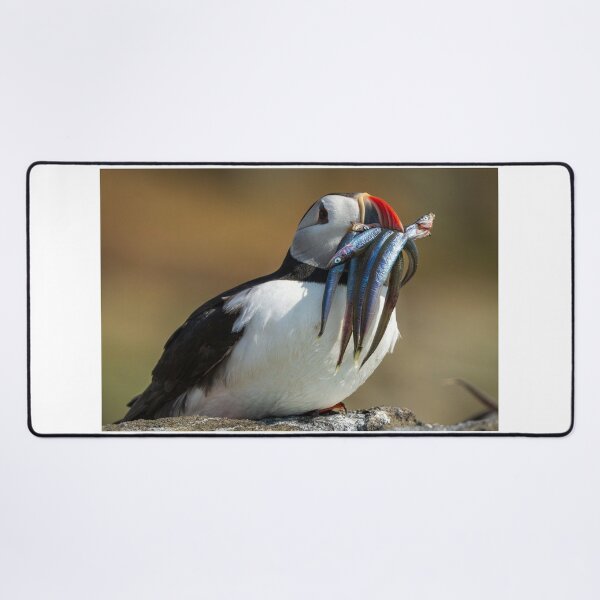 Item preview, A Puffin with a mouthful of fish designed and sold by TravellingFatmn.