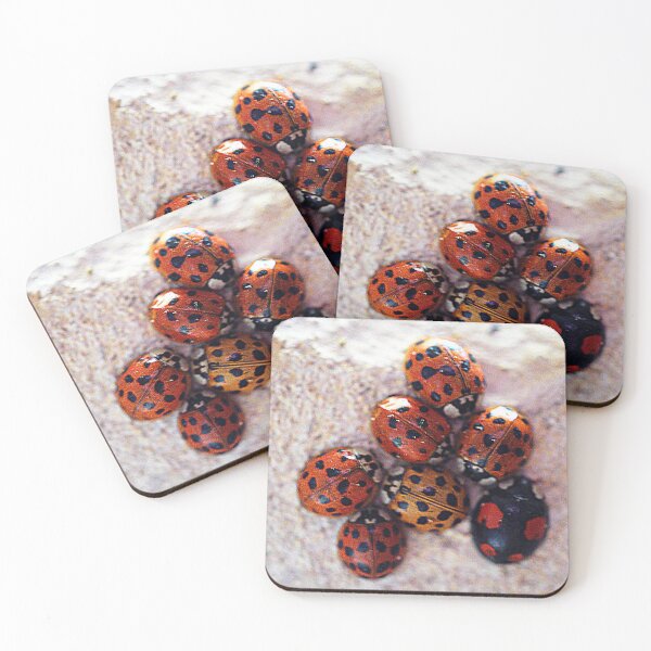 Item preview, The Harlequin Ladybird Huddle designed and sold by Larry Davis.