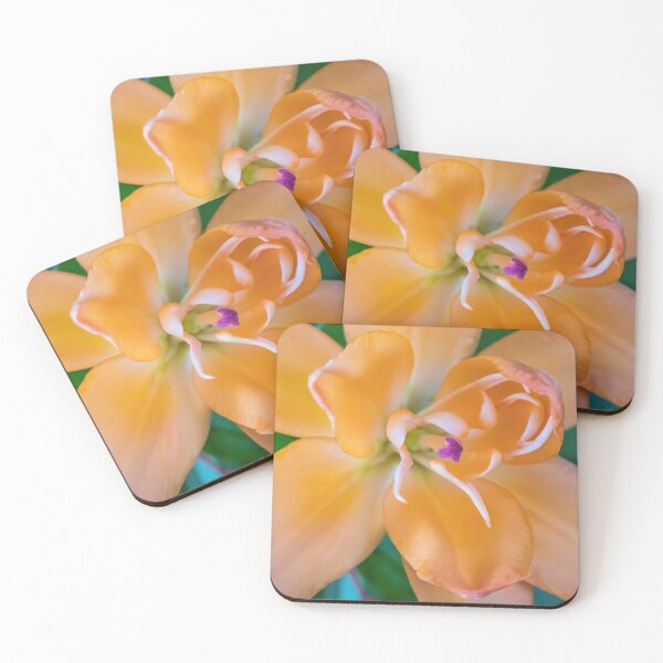 Item preview, Beautiful Orange Asiatic Lily in a Summer Garden designed and sold by LINDA MCKUSICK.
