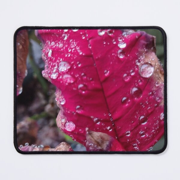 Item preview, After the rain  designed and sold by Luna4165.