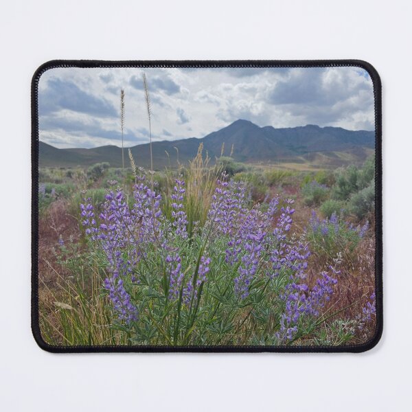 Item preview, Silky Lupine designed and sold by Songdog Desert Treasures.