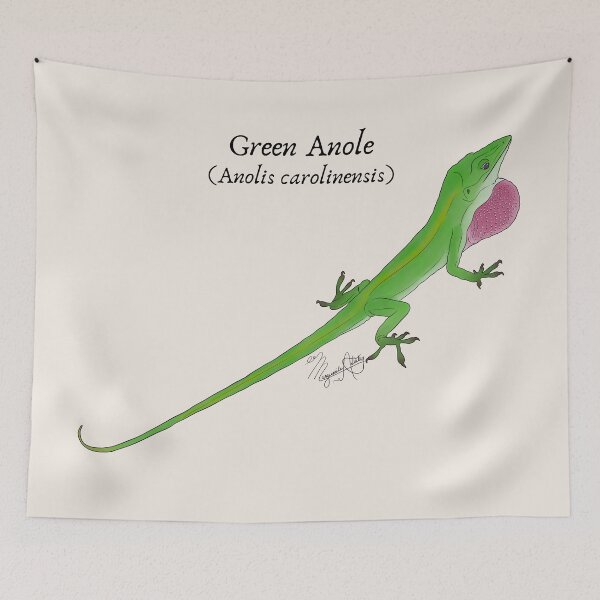 Item preview, Texas Native Reptile- Green Anole (Anolis carolinesis) Vintage Nature Art designed and sold by Marguerite Artistry.