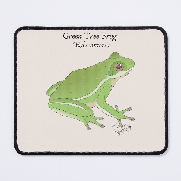 Item preview, Texas Native Amphibian- Green Tree Frog (Hyla cinerea) Vintage Nature Art designed and sold by Marguerite Artistry.