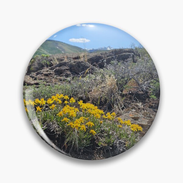 Item preview, Root Where You're Planted designed and sold by Songdog Desert Treasures.