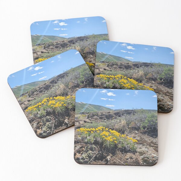 Item preview, Root Where You're Planted designed and sold by Songdog Desert Treasures.
