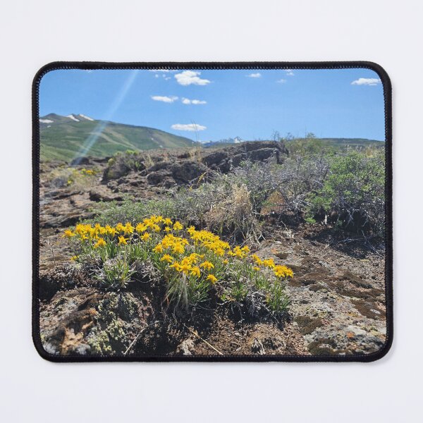 Item preview, Root Where You're Planted designed and sold by Songdog Desert Treasures.