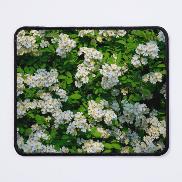 Item preview, Wild Rose Bush designed and sold by bjtomiko.