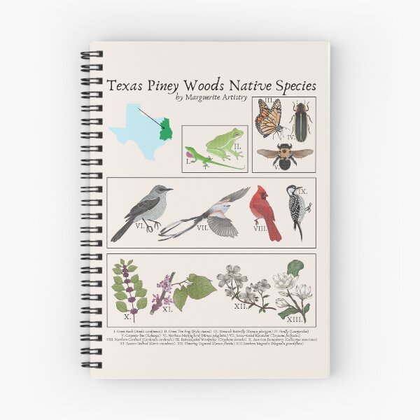 Item preview, Texas Piney Woods Native Species Vintage Nature Art designed and sold by Marguerite Artistry.
