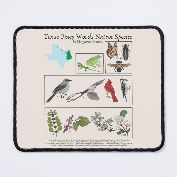 Item preview, Texas Piney Woods Native Species Vintage Nature Art designed and sold by Marguerite Artistry.