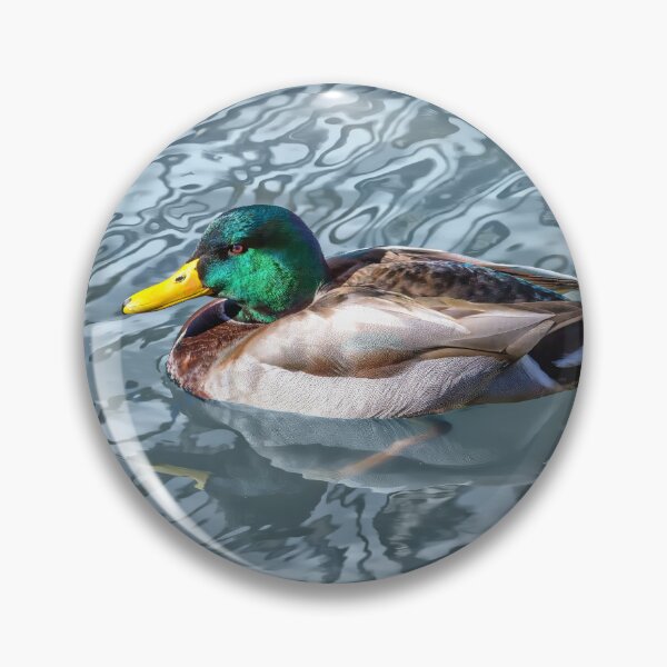 Item preview, Male Mallard  designed and sold by CarolM.