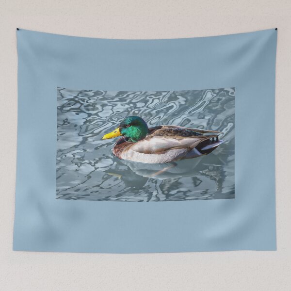 Item preview, Male Mallard  designed and sold by CarolM.