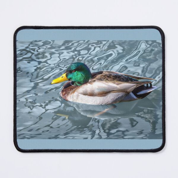 Item preview, Male Mallard designed and sold by CarolM.