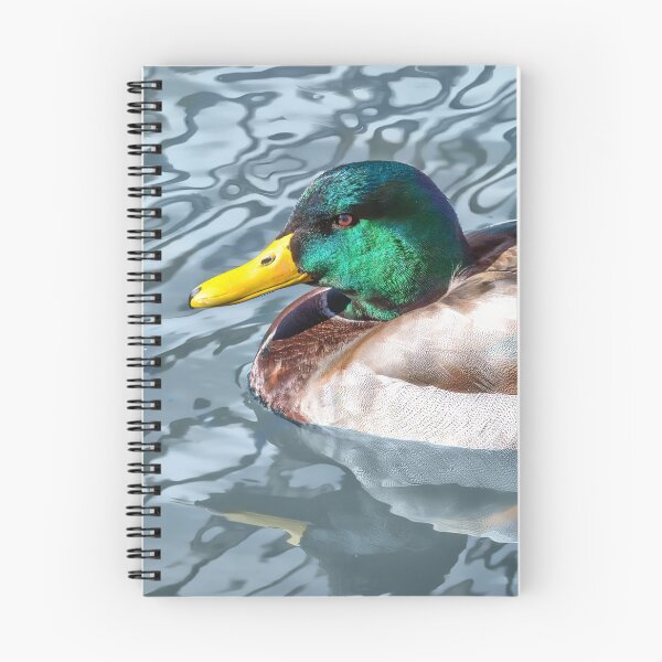 Item preview, Male Mallard  designed and sold by CarolM.