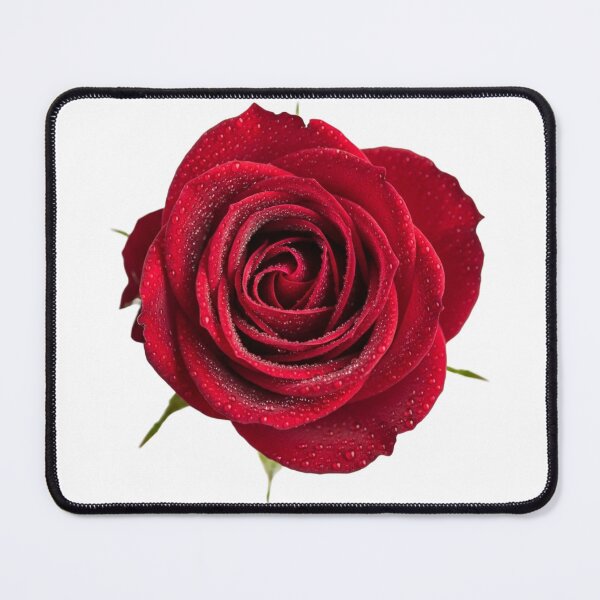 Item preview, Flower - Red Rose designed and sold by JP--Shop.