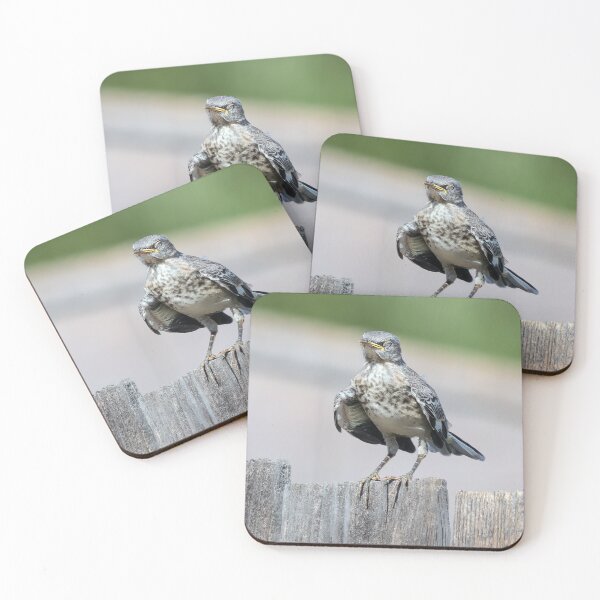 Item preview, Hot and Sleepy Mockingbird Fledgling designed and sold by CarolM.