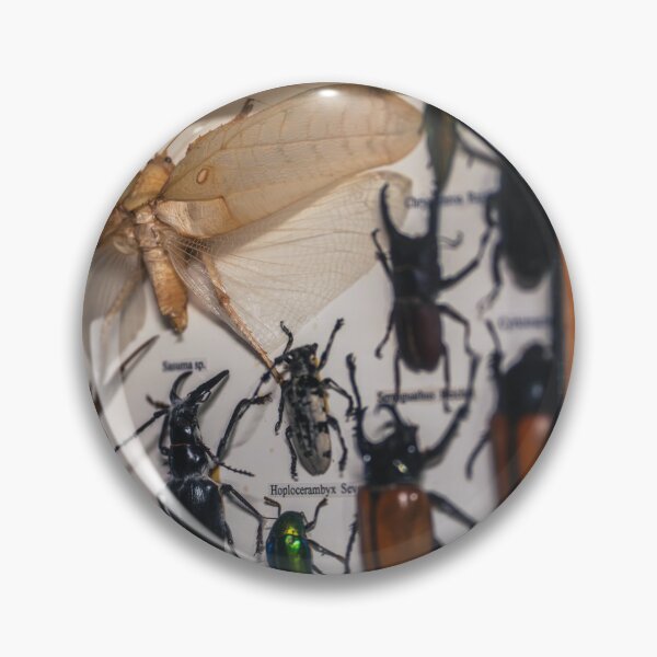 Item preview, Bugs Life designed and sold by eidetic-storage.