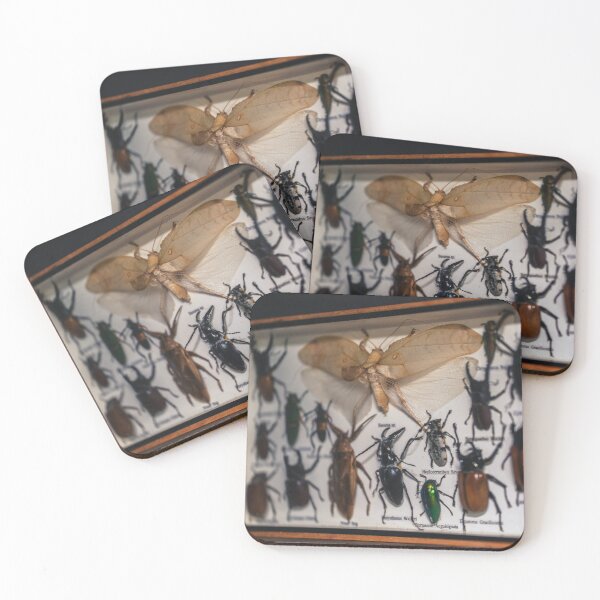 Item preview, Bugs Life designed and sold by eidetic-storage.