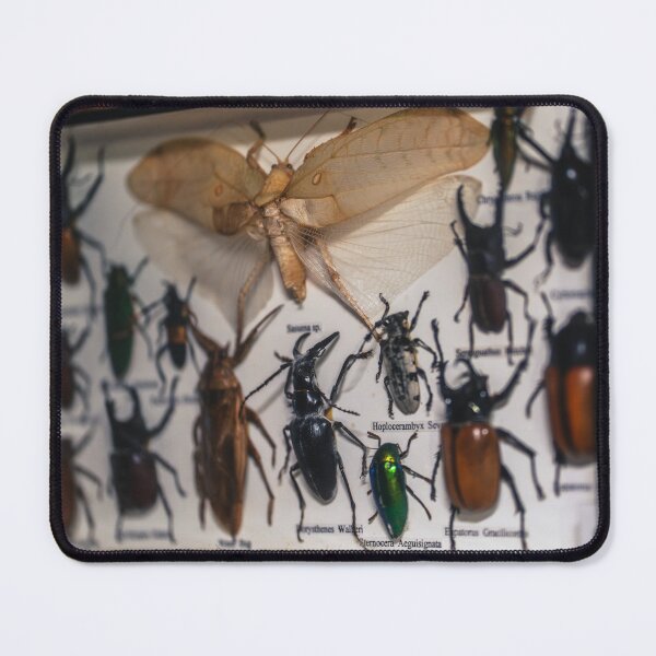 Item preview, Bugs Life designed and sold by eidetic-storage.
