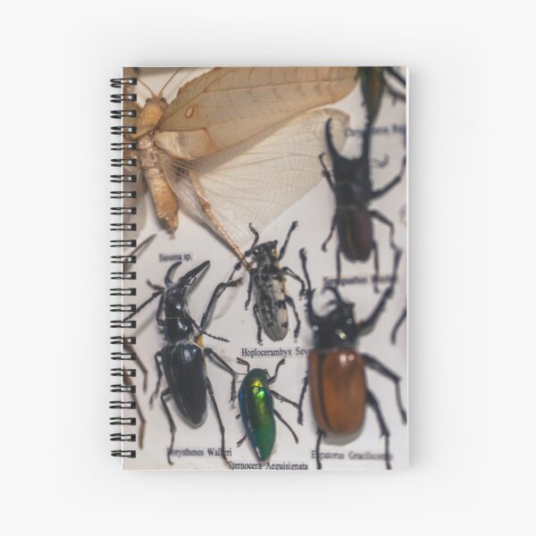 Item preview, Bugs Life designed and sold by eidetic-storage.