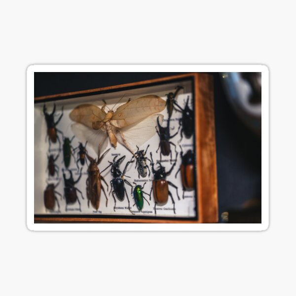 Item preview, Bugs Life designed and sold by eidetic-storage.