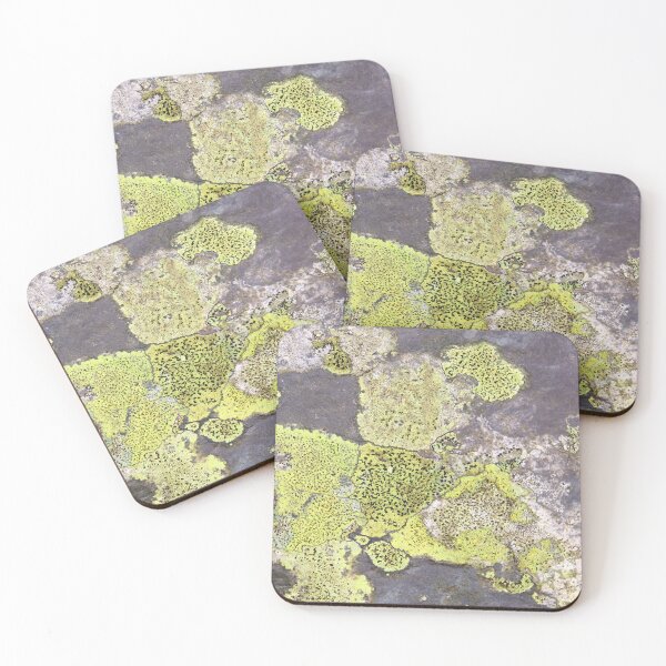 Item preview, lichen  designed and sold by KathleenDawson.