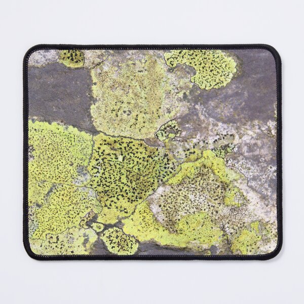 Item preview, lichen  designed and sold by KathleenDawson.