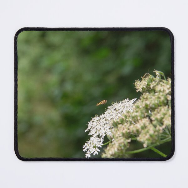 Item preview, A pause in the darting of a hover fly designed and sold by Found // Framed.