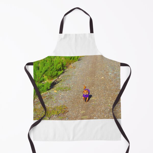 Item preview, FINNICK designed and sold by Asoka.