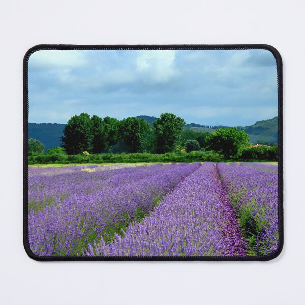 Item preview, Lavander in Tuscany designed and sold by annalisa56.