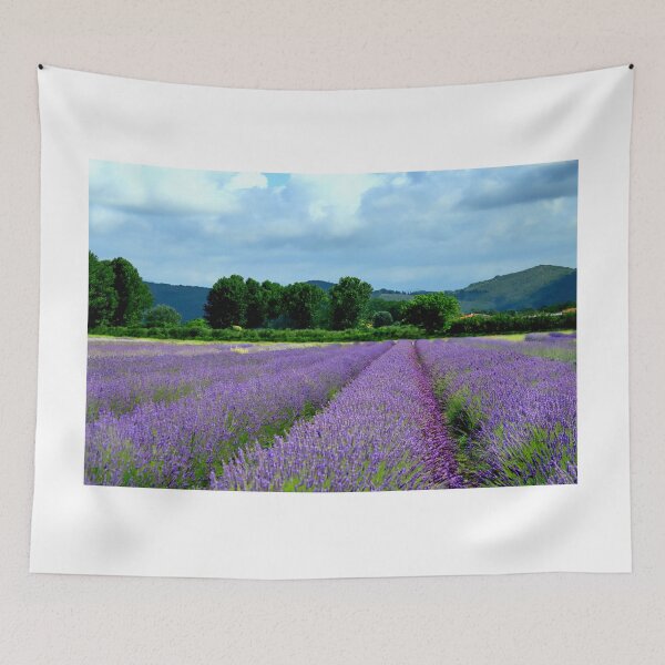 Item preview,  Lavander in Tuscany  designed and sold by annalisa56.