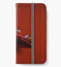 Tau iPhone Flip-Case/Hülle/Klebefolie