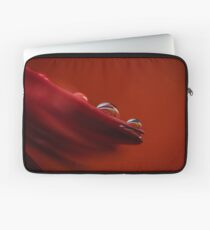 Tau Laptoptasche