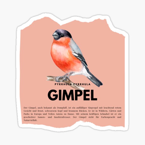 Item preview, Bullfinch, bullfinch, Pyrrhula pyrrhula, bird designed and sold by toycruisers_merch-butze.