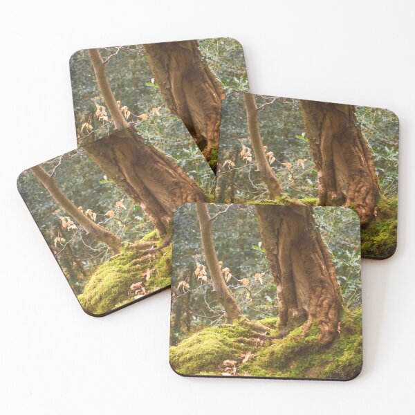 Item preview, Enchanted Woods designed and sold by Christine Lake.