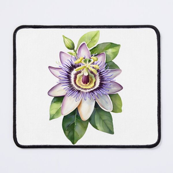 Item preview, Passiflora 'Amethyst' designed and sold by HOMETOWN86.