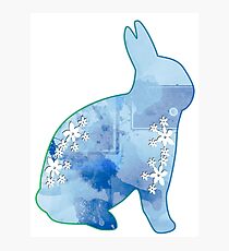 Bunny Blue Photographic Print